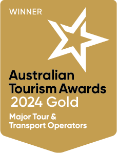 QTA 2024 Gold Winner Award