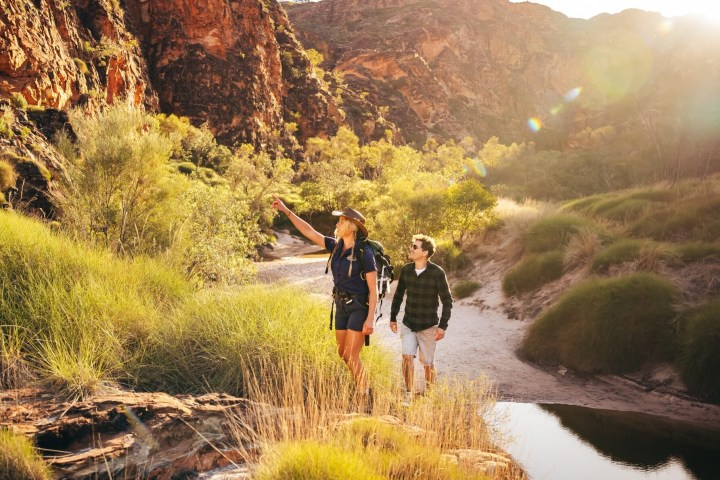 Two hikers walking along a lush canyon trail, one pointing, with the sun shining overhead.