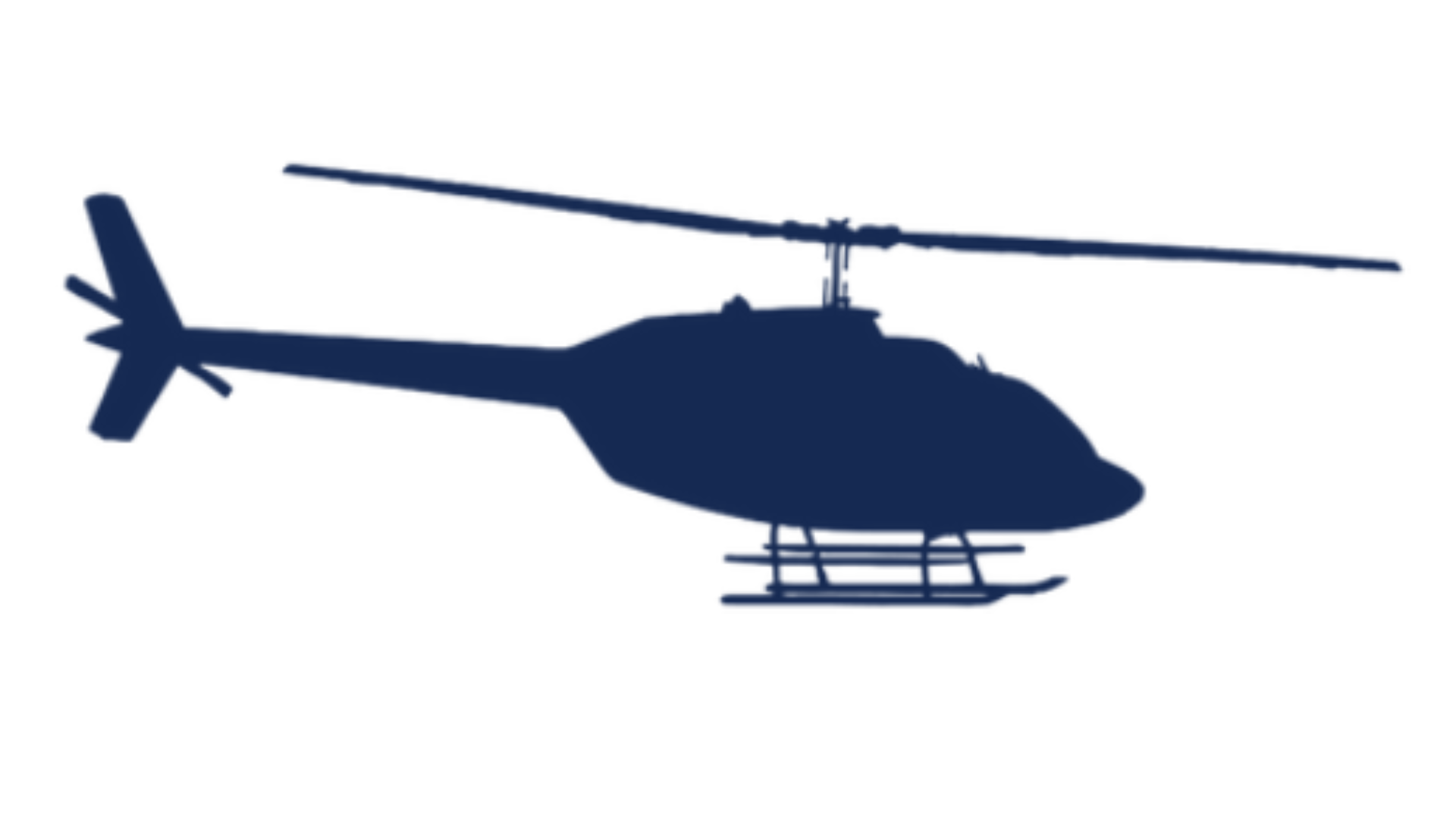 Safety Icon