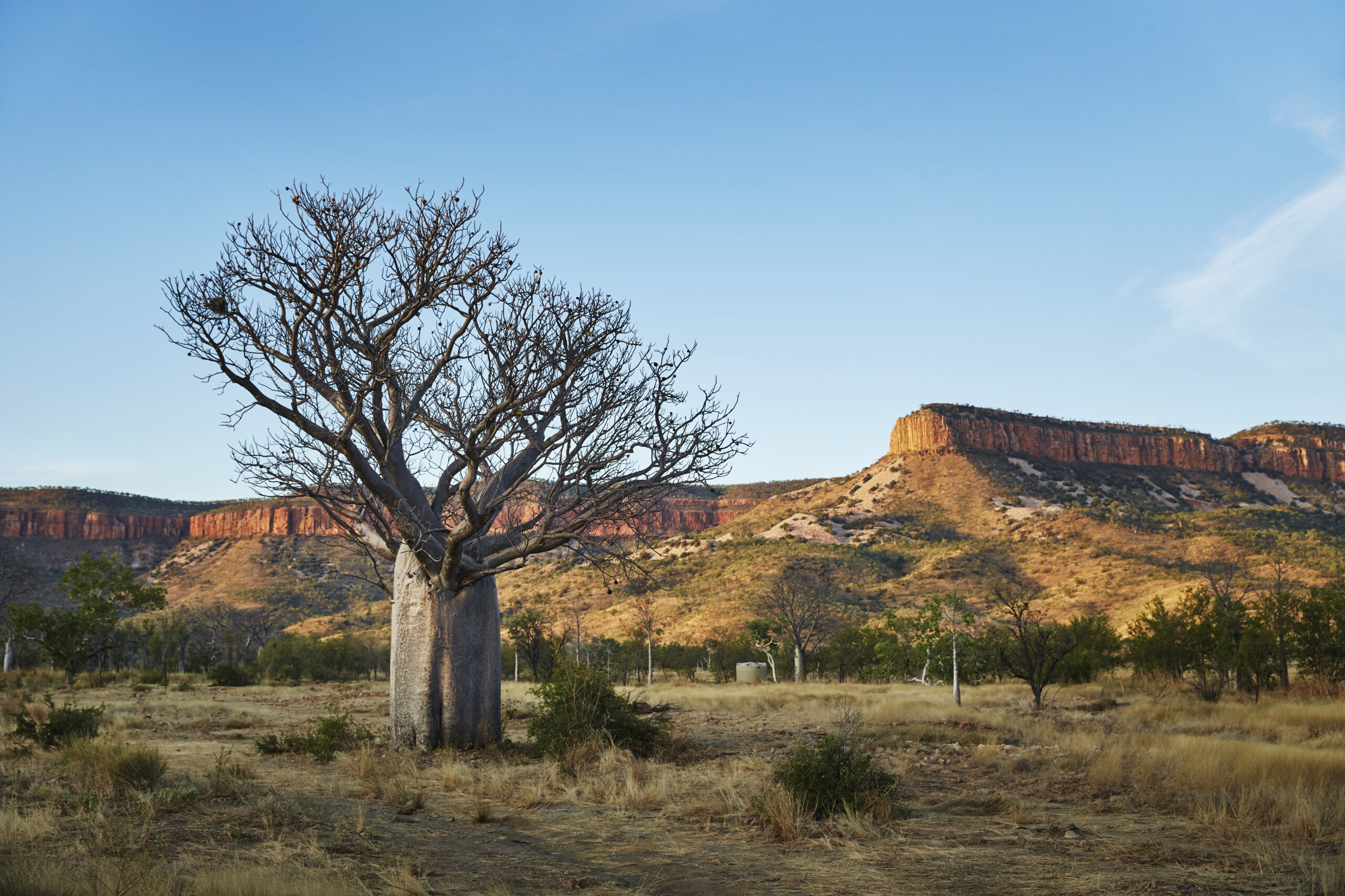 Kununurra Region